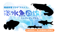 【新景品追加！】ビンゴをクリアして激レア「淡水魚シール」をゲットしよう！
