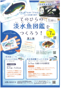 【新イベント】自分だけの「淡水魚図鑑」を作ろう！